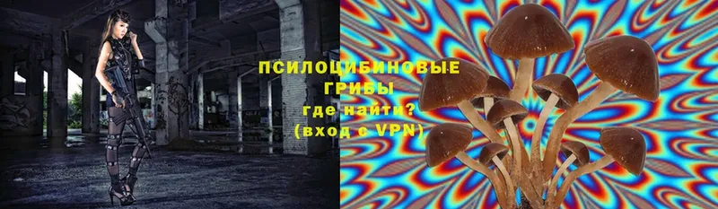 Псилоцибиновые грибы мицелий  Николаевск-на-Амуре 